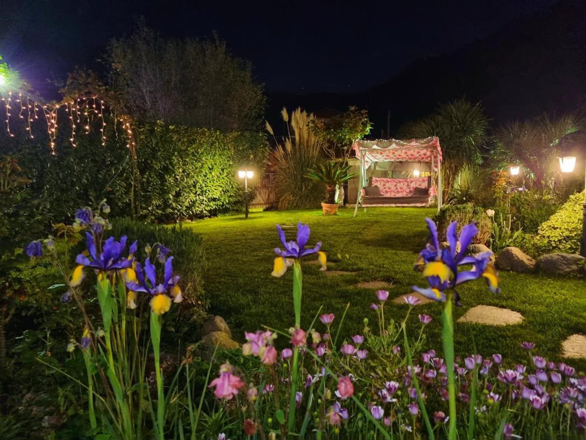 Casa Vacanze Family Albisola Superiore Dış mekan fotoğraf