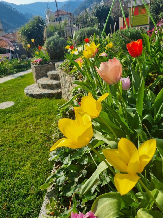 Casa Vacanze Family Albisola Superiore Dış mekan fotoğraf