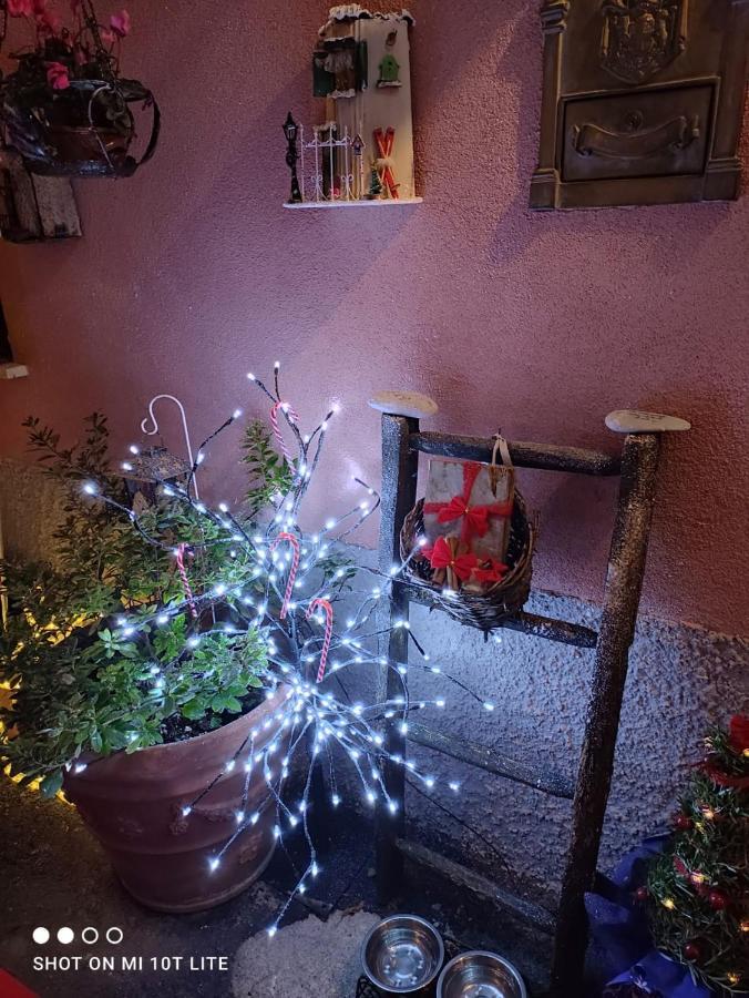 Casa Vacanze Family Albisola Superiore Dış mekan fotoğraf